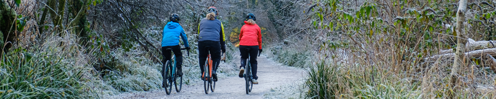 How To Choose A Bike banner